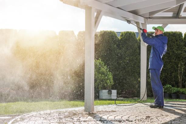 Best Graffiti Removal Services in Twin Grove, IL
